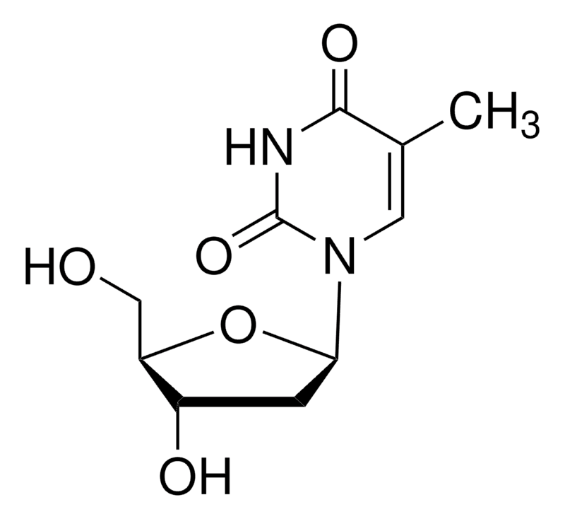 Merck Thymidine