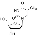 Merck Thymidine