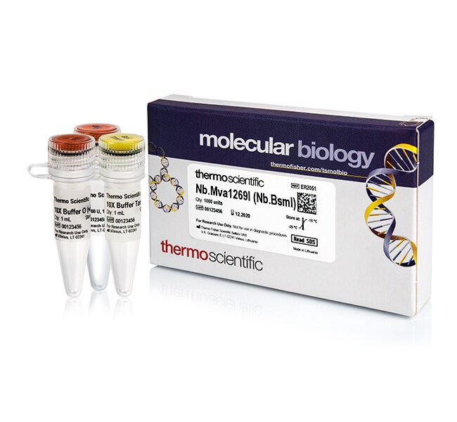 Thermo Fisher Scientific Nb.Mva1269I (10 U/&mu;L)