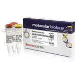 Thermo Fisher Scientific Nb.Mva1269I (10 U/μL)