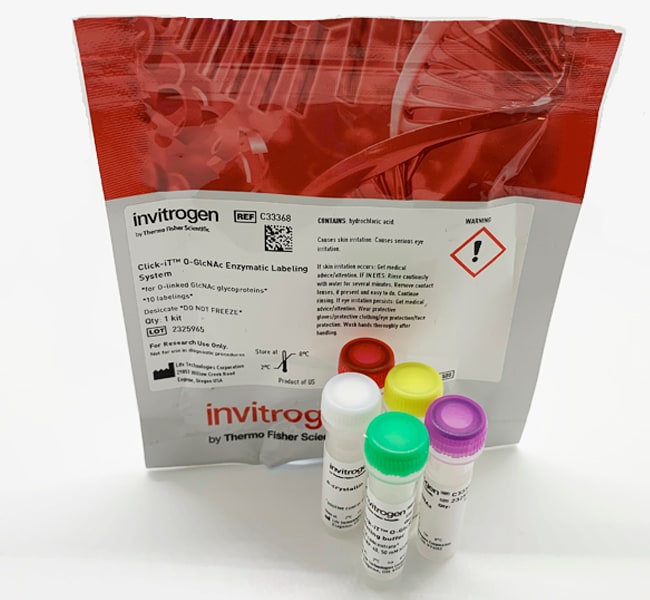 Thermo Fisher Scientific Click-IT O-GlcNAc Enzymatic Labeling System