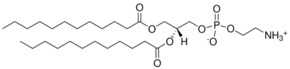 Merck 12:0 PE