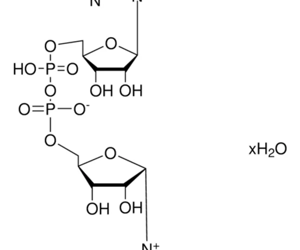 Merck B-NICOTINAMIDE ADENINE DINUCLEOTIDE HYD&