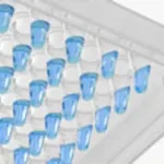 Thermo Fisher Scientific ABsolute Blue QPCR Mix, SYBR Green, ROX, 1,600 reactions