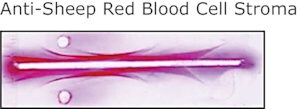 Merck RABBIT ANTI-SHEEP RED BLOOD CELL STROMA&