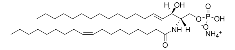 Merck C18:1 Ceramide-1-Phosphate (d18:1/18:1(9Z))