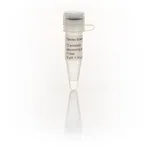 Thermo Fisher Scientific T3 promoter Sequencing Primer, 17-mer