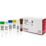 Thermo Fisher Scientific Poly(A) Tailing Kit