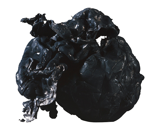 AS ONE Carbon Nanotube (eDIPS), 카본 나노튜브