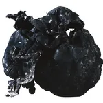 AS ONE Carbon Nanotube (eDIPS), 카본 나노튜브