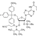 Merck DMT-2'O-TBDMS-rA(bz) Phosphoramidite