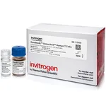 Thermo Fisher Scientific Dynabeads Untouched Human T Cells Kit