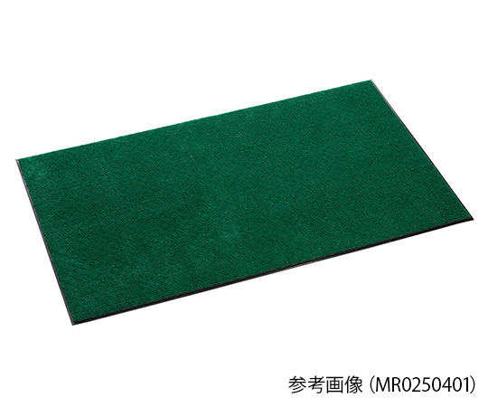 AS ONE Indoor Mat, 테라레인 매트