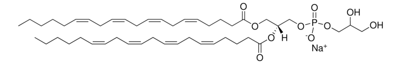 Merck 20:4 PG