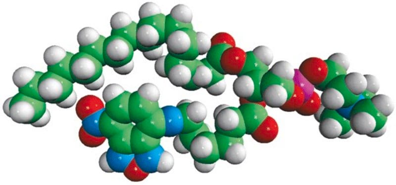 Merck 16:0-06:0 NBD PC