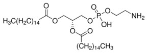 Merck L-A-PHOSPHATIDYLETHANOLAMINE,          &