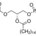 Merck L-A-PHOSPHATIDYLETHANOLAMINE,          &