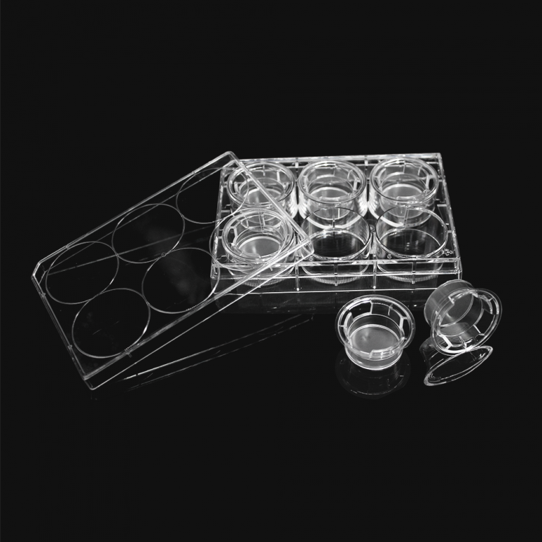 LABSELECT Cell culture insert translucent PC membrane