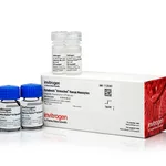Thermo Fisher Scientific Dynabeads Untouched Human Monocytes Kit