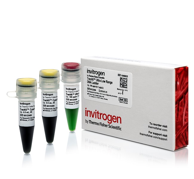 Thermo Fisher Scientific TrackIt Ultra Low Range DNA Ladder