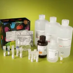 Thermo Fisher Scientific LightShift Chemiluminescent RNA EMSA Kit