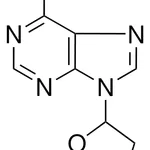Merck SQ 22,536