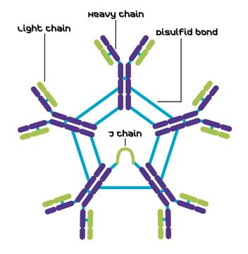 Merck MOUSE IGM KAPPA (TEPC-183) PURIFIED