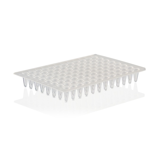 Thermo Fisher Scientific PCR Plate, 96-well, low profile, non-skirted, Sustain Series