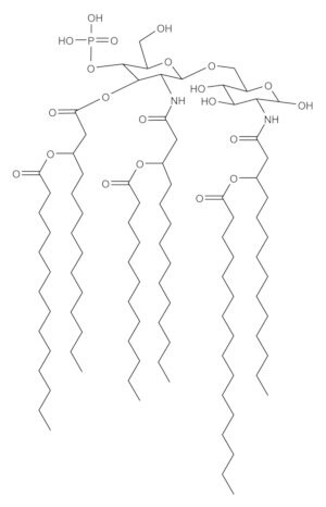 Merck LIPID A, MONOPHOSPHORYL FROM ESCHERICHIA