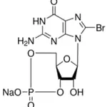 Merck 8-BROMOGUANOSINE 3``:5``-CYCLIC &