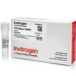 Thermo Fisher Scientific DNase I Buffer (10X)