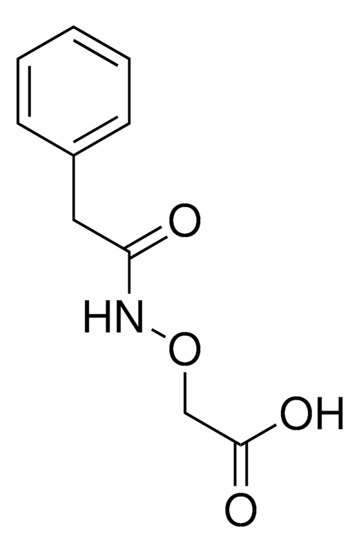 Merck ([(phenylacetyl)amino]oxy)acetic acid