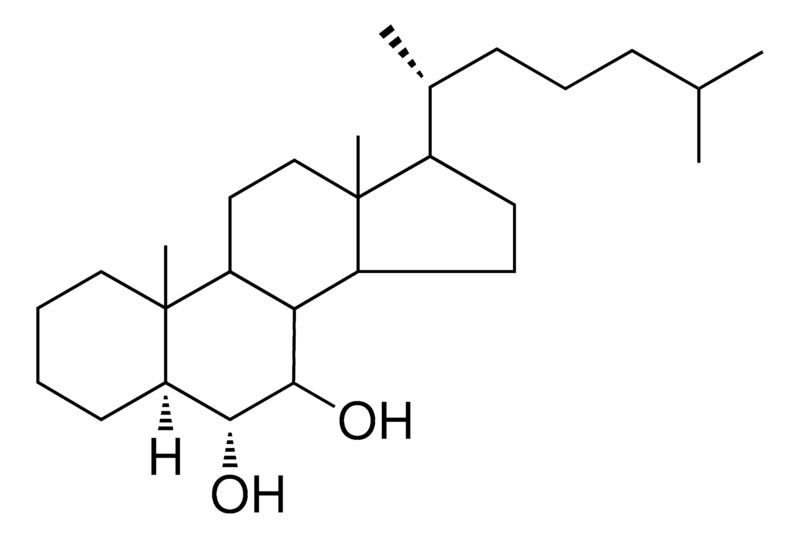 Merck 5-ALPHA-CHOLESTANE-6-ALPHA,7-B - 1 MG&