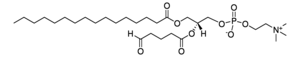 Merck POVPC