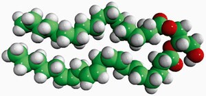 Merck 18:0-20:4 DG