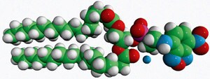 Merck 18:0 NBD PE (NBD-DSPE)