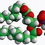 Merck 18:0 NBD PE (NBD-DSPE)