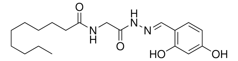 Merck N-(2-(2-(2,4-DIHYDROXYBENZYLIDEN-