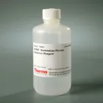 Thermo Fisher Scientific M-PER Mammalian Protein Extraction Reagent, 250 mL