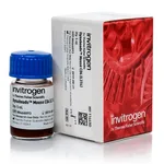 Thermo Fisher Scientific Dynabeads Mouse CD4