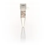 Thermo Fisher Scientific Proteinase K, recombinant, PCR grade, 1 mL