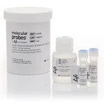 Thermo Fisher Scientific Single-Channel Dead Cell Apoptosis Kit with Annexin V Alexa Fluor 488 and SYTOX Green Dyes, for flow cytometry