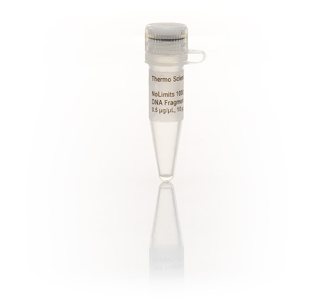 Thermo Fisher Scientific NoLimits 10 bp DNA Fragment