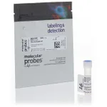 Thermo Fisher Scientific Alexa Fluor 488 5-TFP (Alexa Fluor 488 Carboxylic Acid, 2,3,5,6-Tetrafluorophenyl Ester), 5-isomer