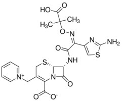 Merck CEFTAZIDIME