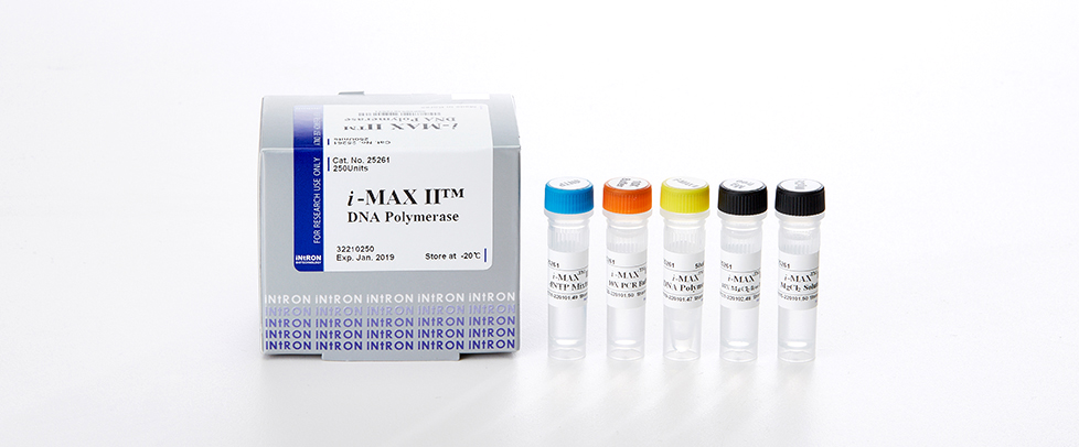 Intron i-MAX™Ⅱ DNA Polymerase