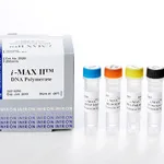 Intron i-MAX™Ⅱ DNA Polymerase