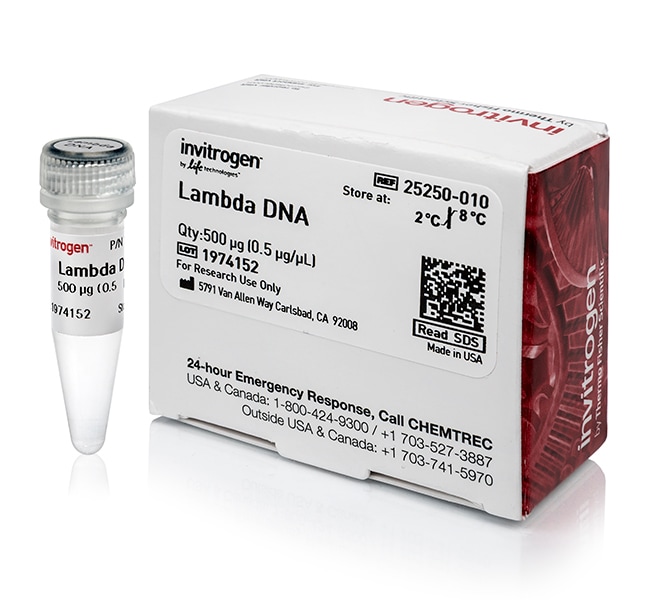 Thermo Fisher Scientific λ DNA (cIind 1 ts857 Sam 7)