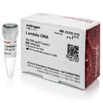 Thermo Fisher Scientific λ DNA (cIind 1 ts857 Sam 7)