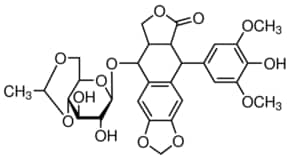 Merck ETOPOSIDE